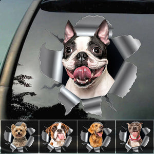 Cracking You Up, One Paw At A Time - Personalized Custom Photo Decal Gifts For Dog Cat Lovers, Dog Dad Mom