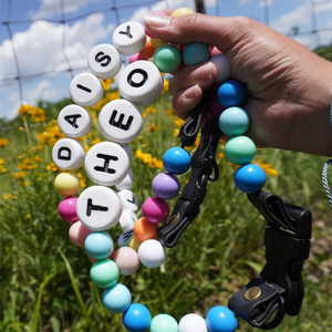 Personalized Bracelet - Match Your Dog or Cat Collar from Willadore Collar