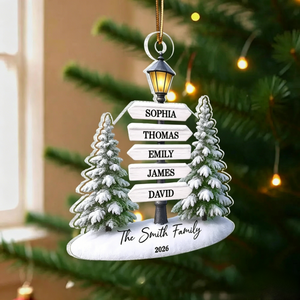 Christmas Decoration β Personalized Family Name Tree Acrylic Ornament