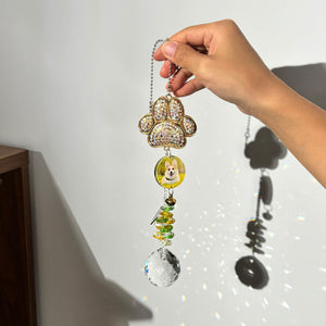 Personalized Photo Crystal Pet Souvenir Light Trap Sun Catcher Memorial Dog/Cat Gift