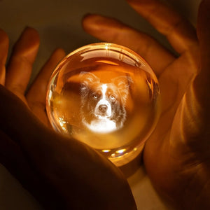 Custom Photo Crystal Globe Lamp - Personalized Pet Memorial Sympathy Gifts For Dogs, Cats - Light Carries Your Spirit