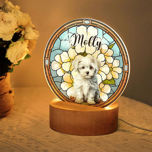 Custom Photo Birth Flowers Personalized Stained Acrylic Block LED Night Light