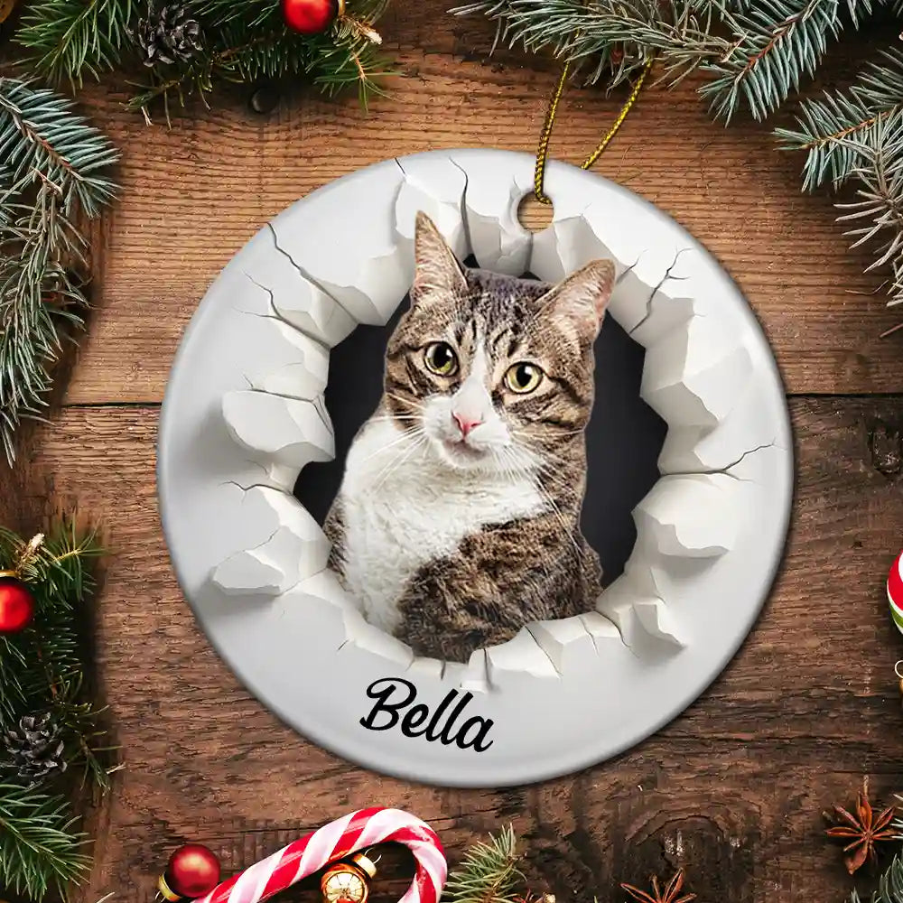 Custom Photo Snow Hole Funny Dog Cat Pet - Personalized Circle Ceramic Ornament