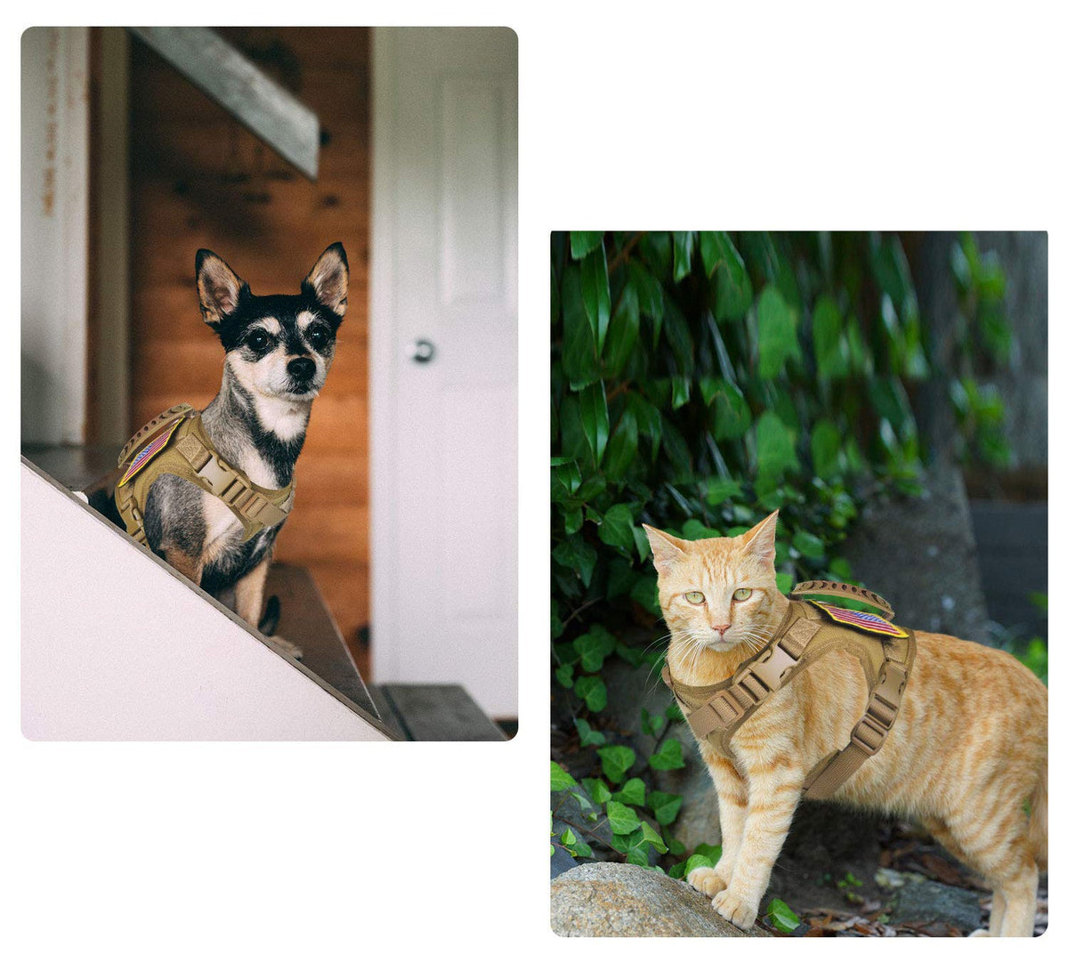 Personalized Pet Harness Vest Training Harness