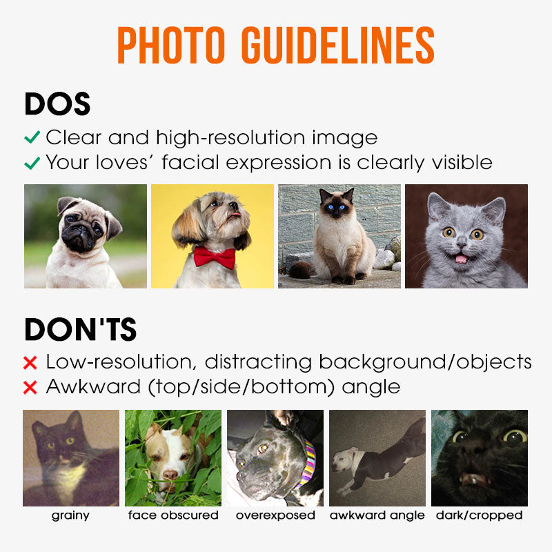 Personalized Your Dog Cat Photo Pet Blanket Oil Painting