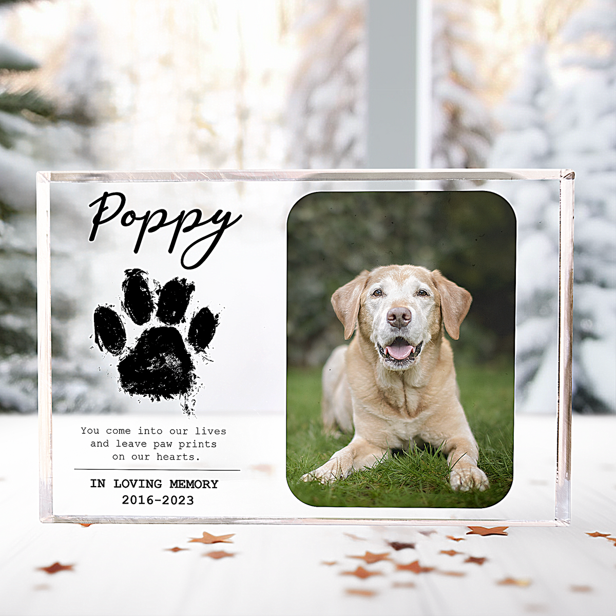 You Leave Paw Prints On Our Hearts  Personalized Photo Acrylic Plaque